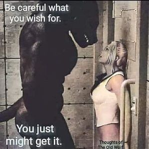 Meet your Posher, Rebel